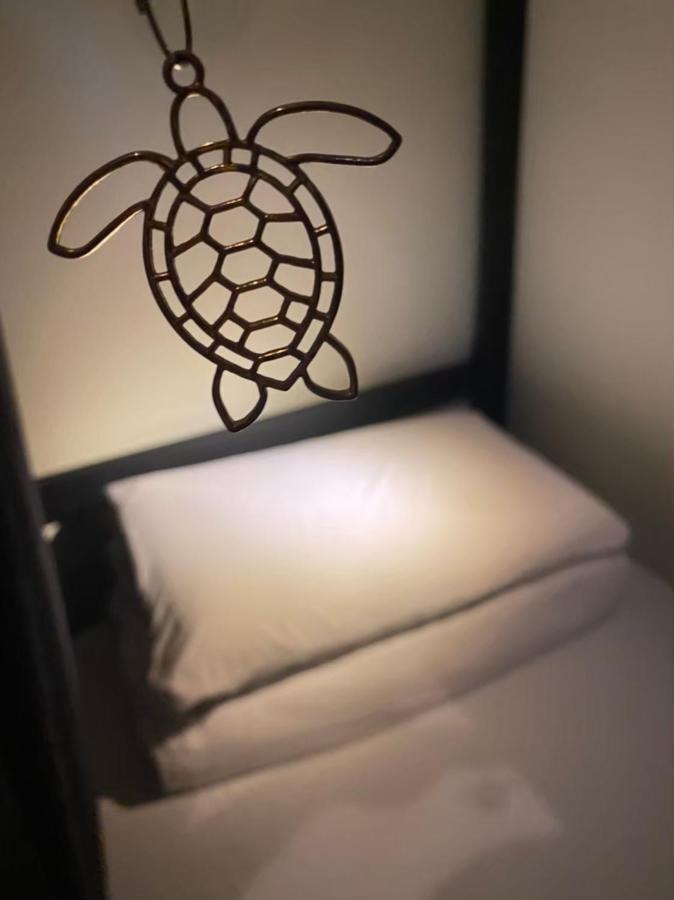琉浪潛水背包客棧 Drift Diving Hostel Xiaoliuqiu Εξωτερικό φωτογραφία